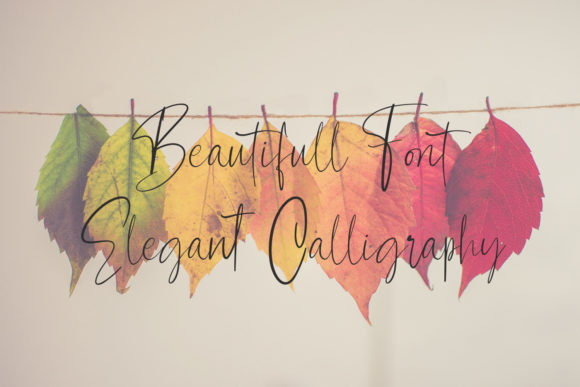 Contributor Font - Preview 3