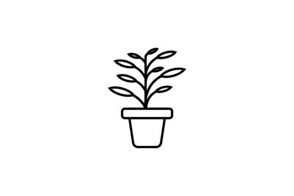 rubber plant tall Twisted Stem Ficus Elastica (Rubber Plant) | Happy Houseplants main image 1