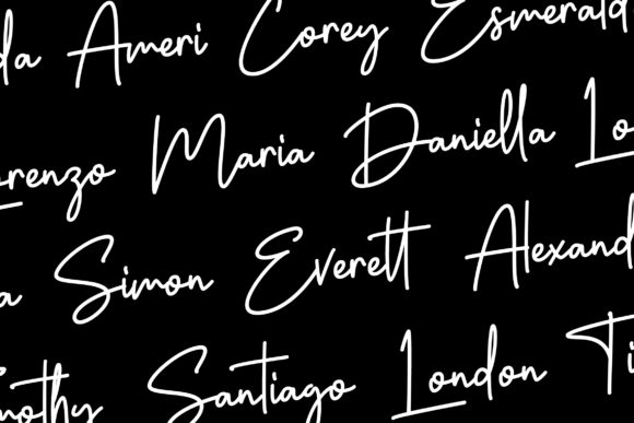 Shania Quinton Font PNG with transparent background - Preview 2