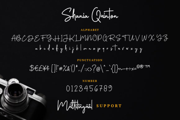 Shania Quinton Font PNG with transparent background - Preview 6
