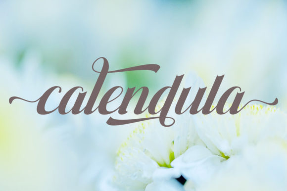 Amania Font - Preview 5