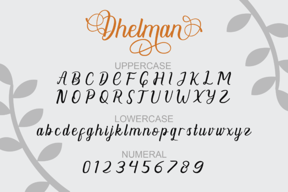 Dhelman Script Font - Preview 1
