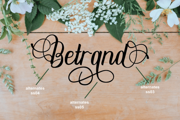 Dhelman Script Font - Preview 5
