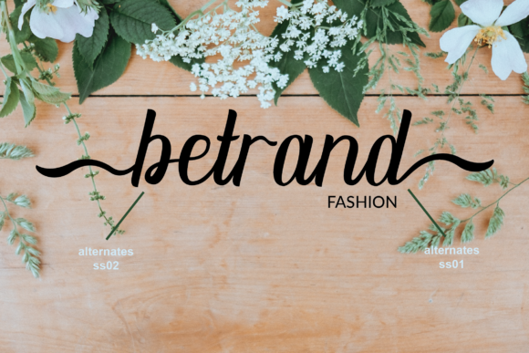 Dhelman Script Font - Preview 6