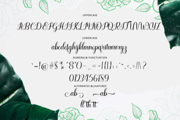Caldwell Font - Preview 3