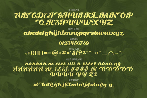 Oaklash Font PNG with transparent background - Preview 5