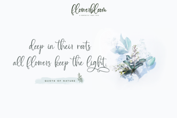 Flowerbloom Font PNG with transparent background - Preview 1