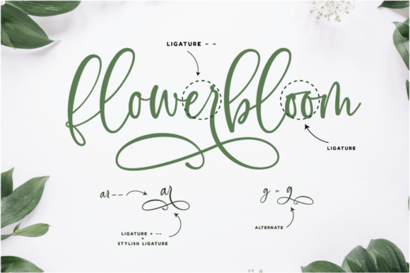 Flowerbloom Font PNG with transparent background - Preview 6