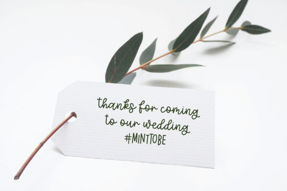 Eucalyptus Spearmint Font PNG with transparent background - Preview 1