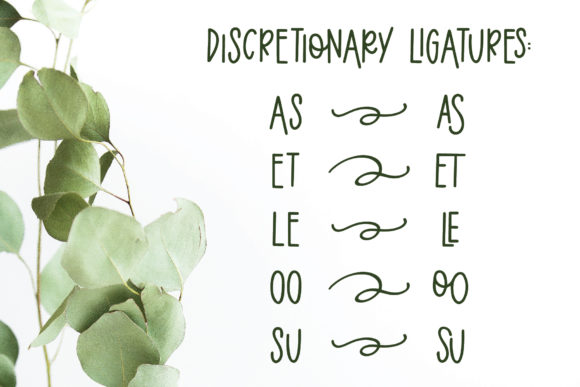Eucalyptus Spearmint Font PNG with transparent background - Preview 2