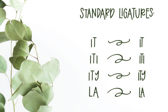 Eucalyptus Spearmint Font PNG with transparent background - Preview 3