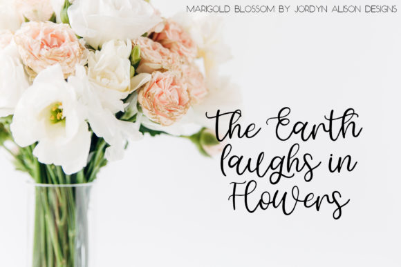 Marigold Blossom Font PNG with transparent background - Preview 2