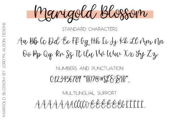 Marigold Blossom Font PNG with transparent background - Preview 5