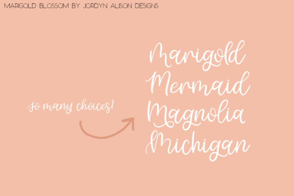 Marigold Blossom Font PNG with transparent background - Preview 6