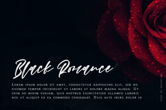 Nighiri Font font preview - 6