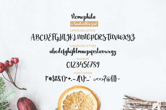 Nemophila Font PNG with transparent background - Preview 1