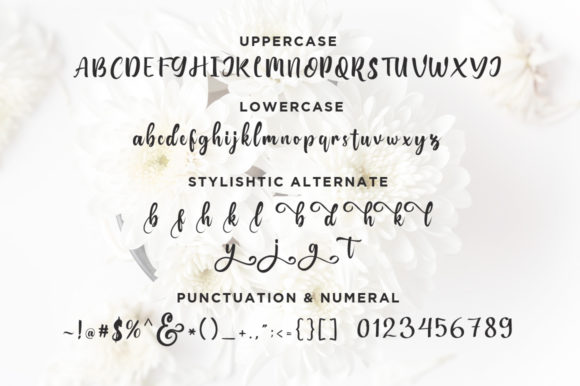 Bungalow Font - Preview 5
