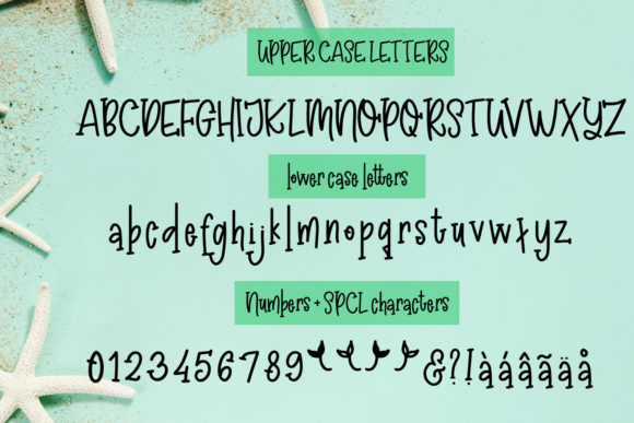 Madison's Tail Font PNG with transparent background - Preview 1