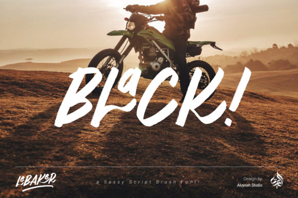 AL LeBaker Font - Preview 2