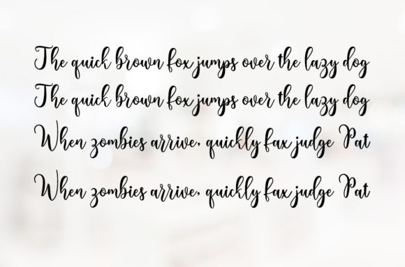 Beverly Script Font - Preview 4
