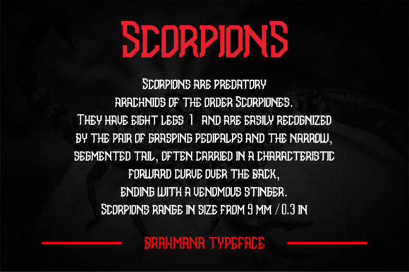 Brahmana Font - Preview 2
