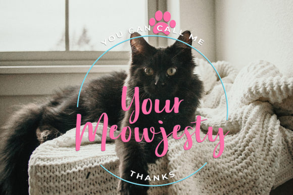 Aloha Miaw Font - Preview 3