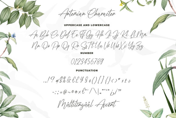 Antemian Font - Preview 4