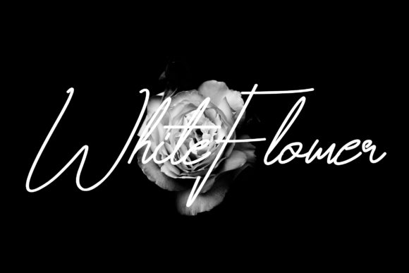 Mahadetty Font PNG with transparent background - Preview 2