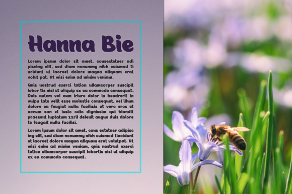 Alphina Font - Preview 3