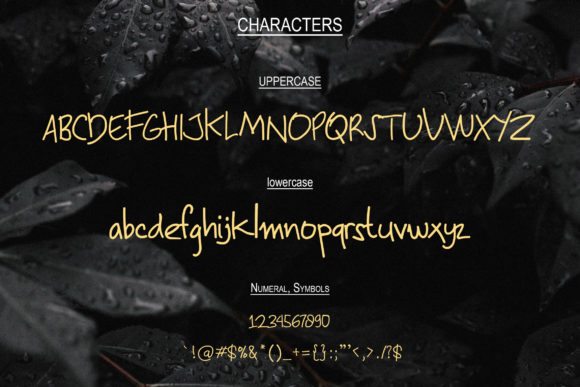 Andila Font - Preview 1