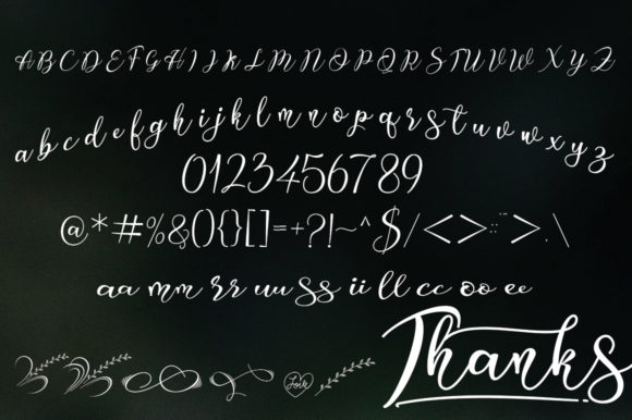 Carolina Font - Preview 6