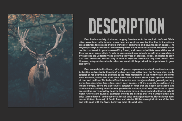 Pensilvanya Font PNG with transparent background - Preview 2