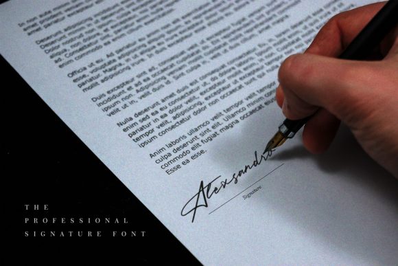 Paradise Signature Font PNG with transparent background - Preview 2