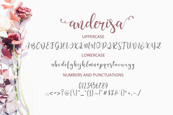 Anderisa Font - Preview 1