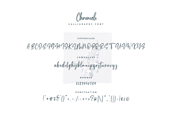 Chronicle Font - Preview 5
