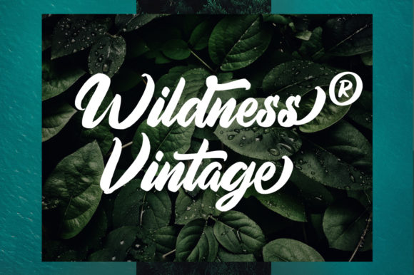 Aimchestar Script Font - Preview 1