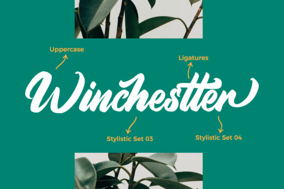 Aimchestar Script Font - Preview 4
