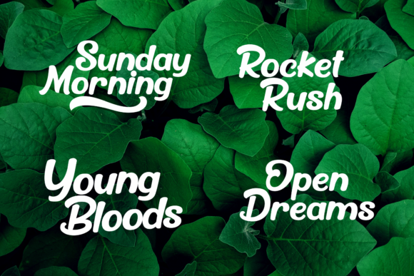 Billyer Font - Preview 4