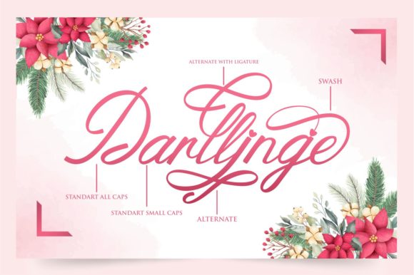 Darllinge Font - Preview 6