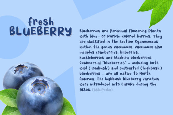 Fresh Blueberry Font PNG with transparent background - Preview 1