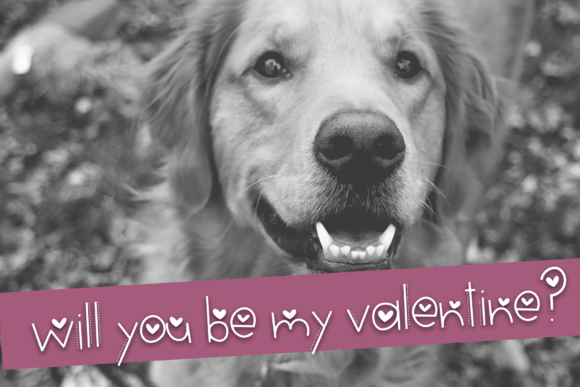 Hi Valentine Font PNG with transparent background - Preview 1