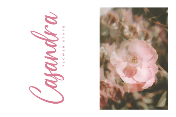 Medalion Font PNG with transparent background - Preview 2