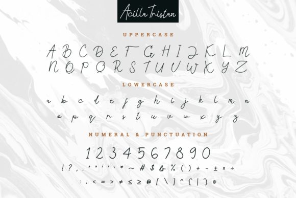 Acilla Tristan Font - Preview 3