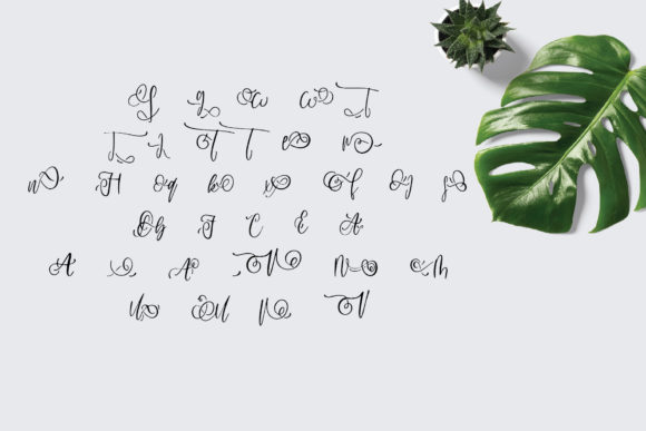 Juliant Font PNG with transparent background - Preview 2