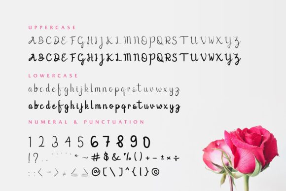 Lovic Font PNG with transparent background - Preview 4