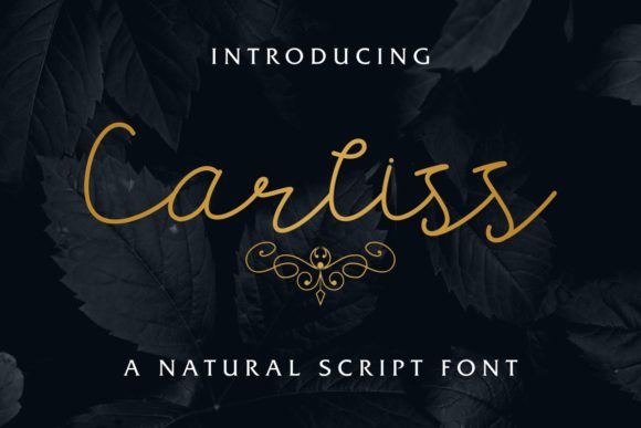 Carllis Font - Preview 1