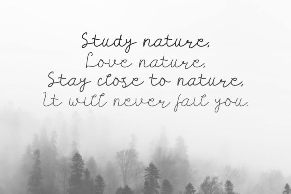 Carllis Font - Preview 2