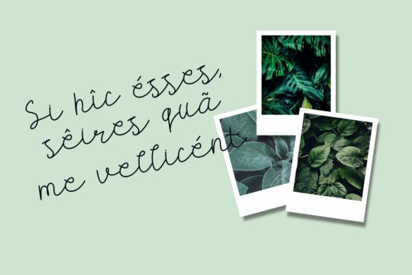 Carllis Font - Preview 6