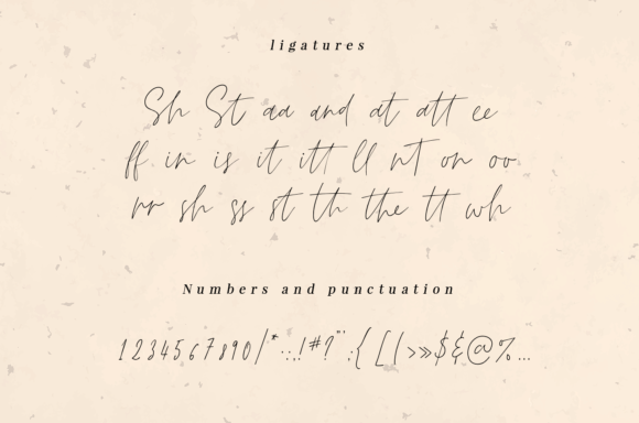 Deellma Font - Preview 5