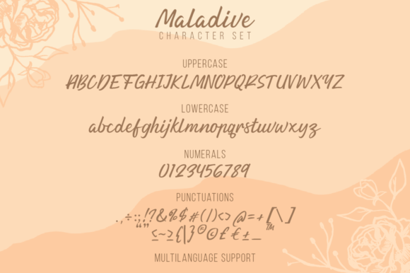 Maladive Font PNG with transparent background - Preview 2